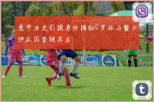 意甲历史引援身价揭秘C罗独占鳌头伊瓜因紧随其后